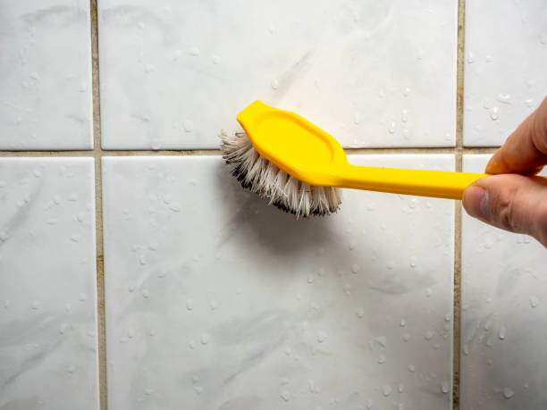 Best Same-Day Mold Removal  in Cache, OK