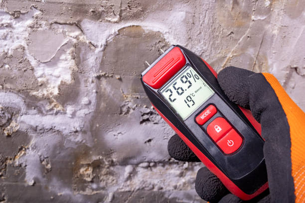 Best Mold Inspection  in Cache, OK
